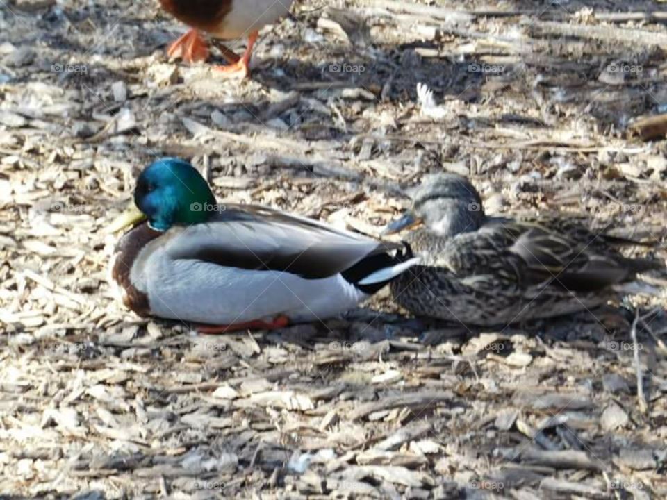 just doing my thing.