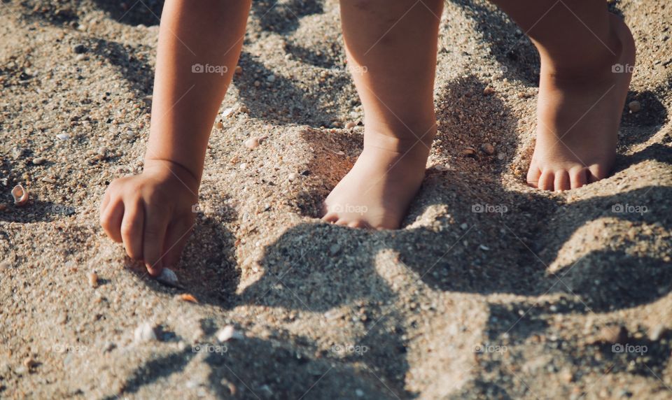 Toddler collecting seashells by the seashore 