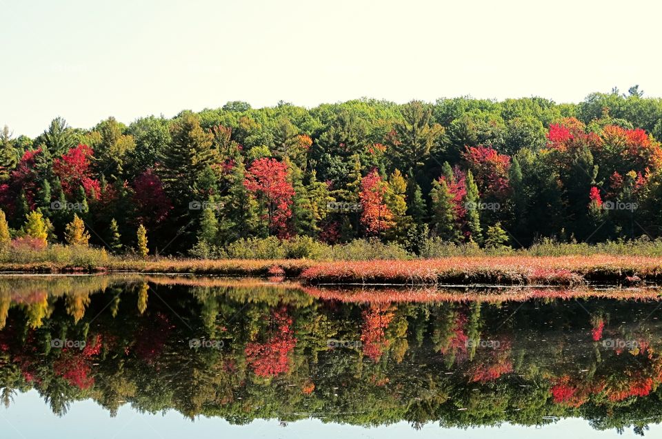 Perfect Fall Reflection in Colors