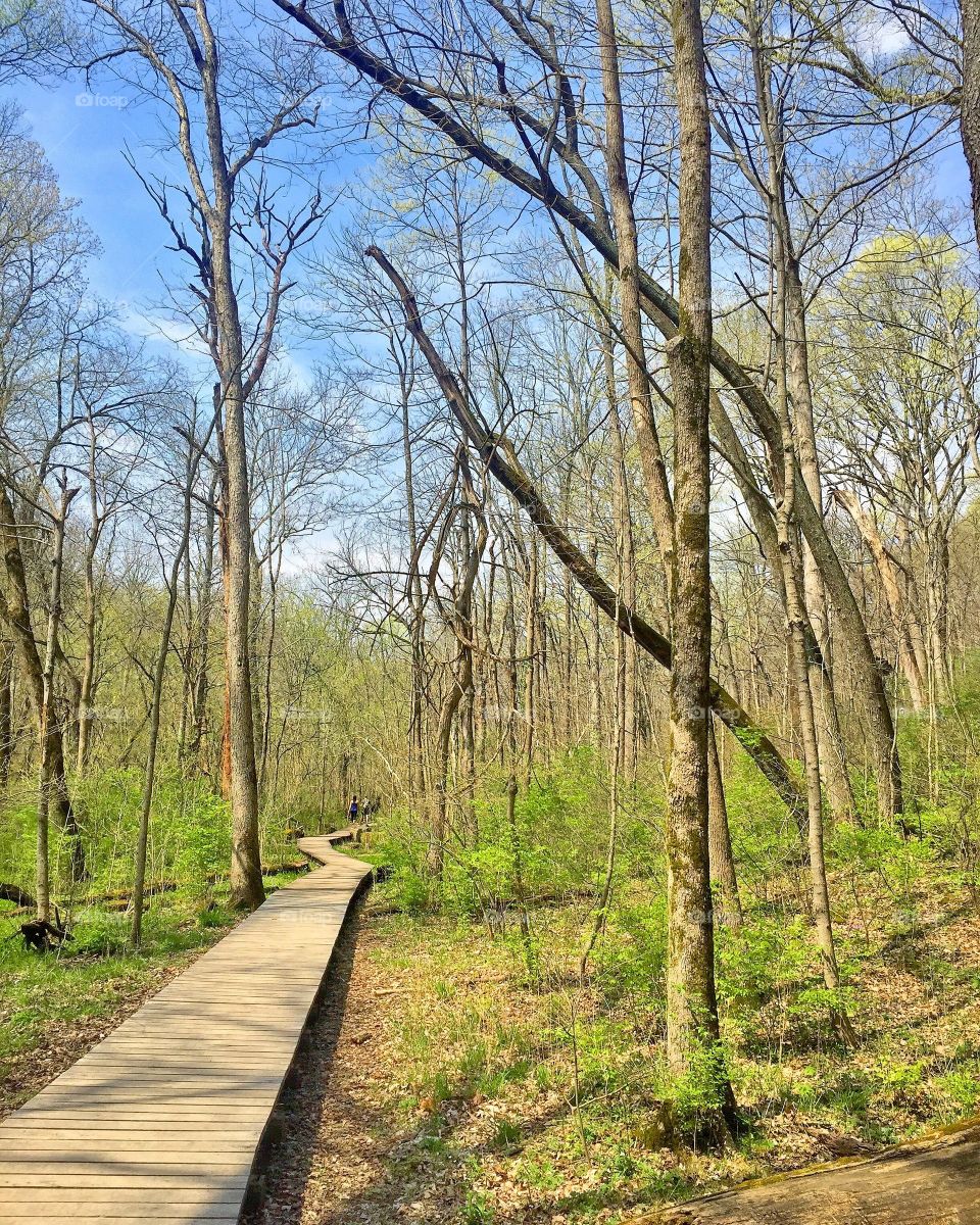 Hiking in northern Michigan 