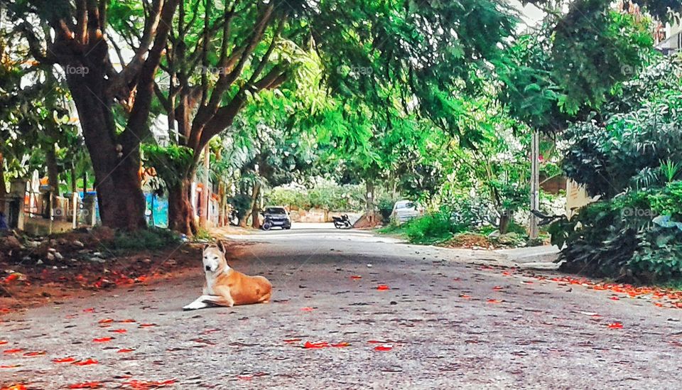 I will be waiting for you💘