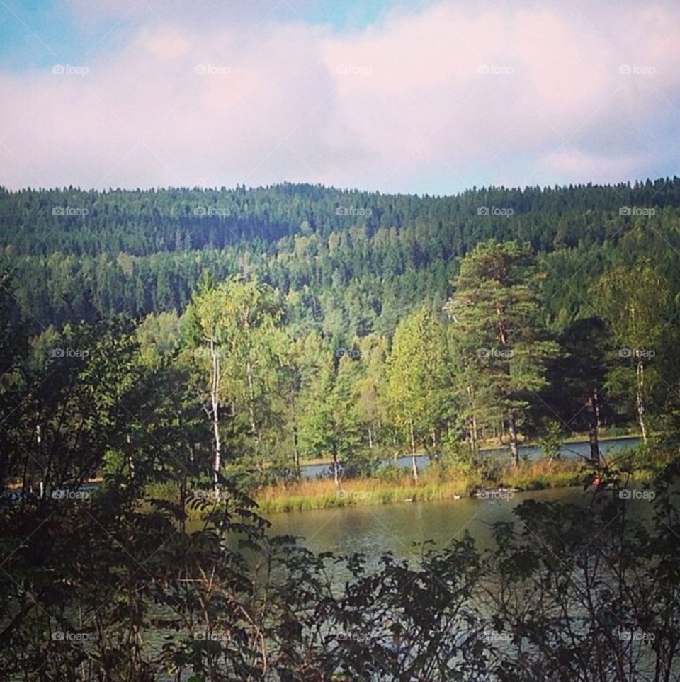 Sognsvann (Norway)