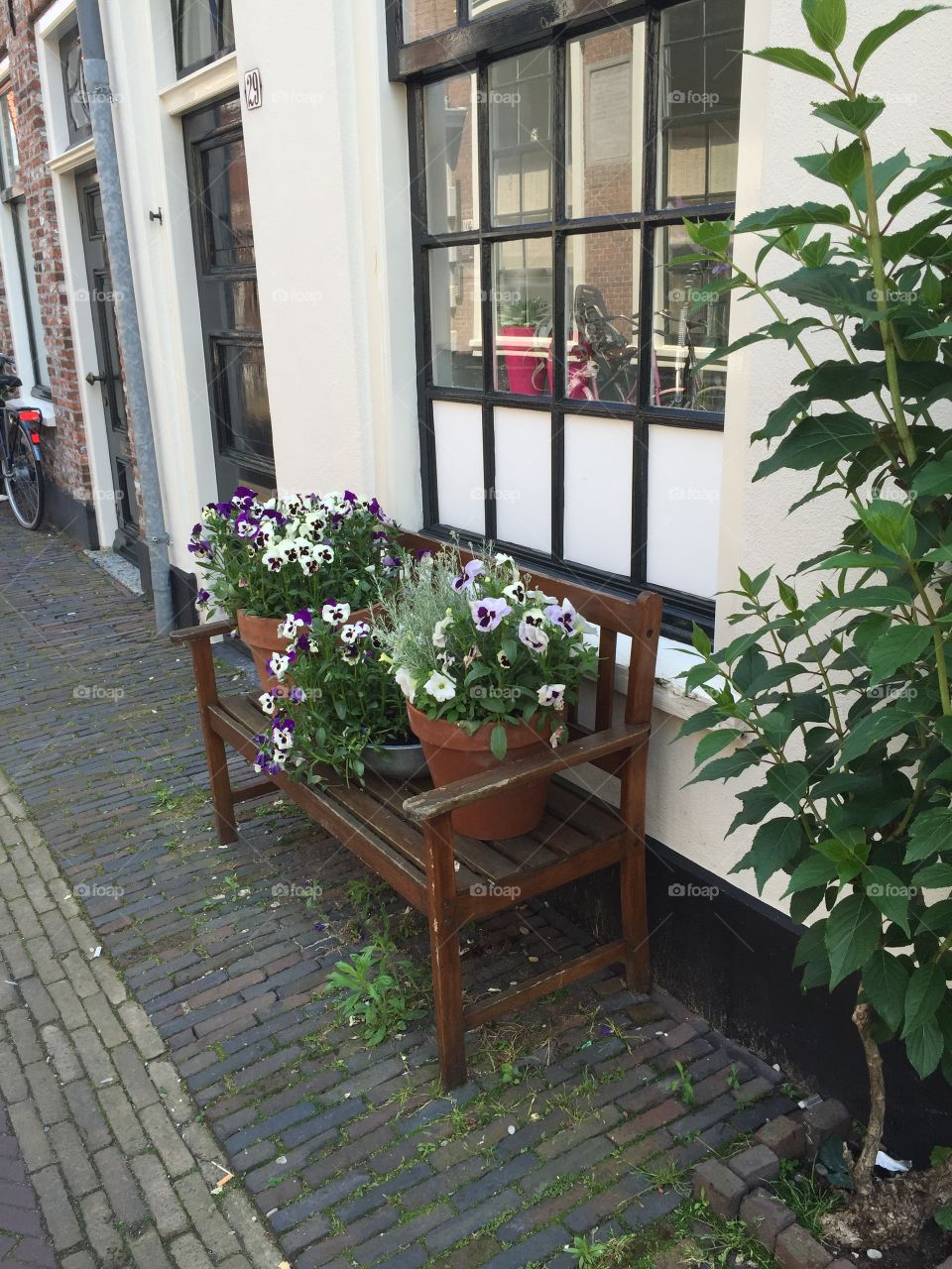 Flowers in the street of Haarlem,Holland