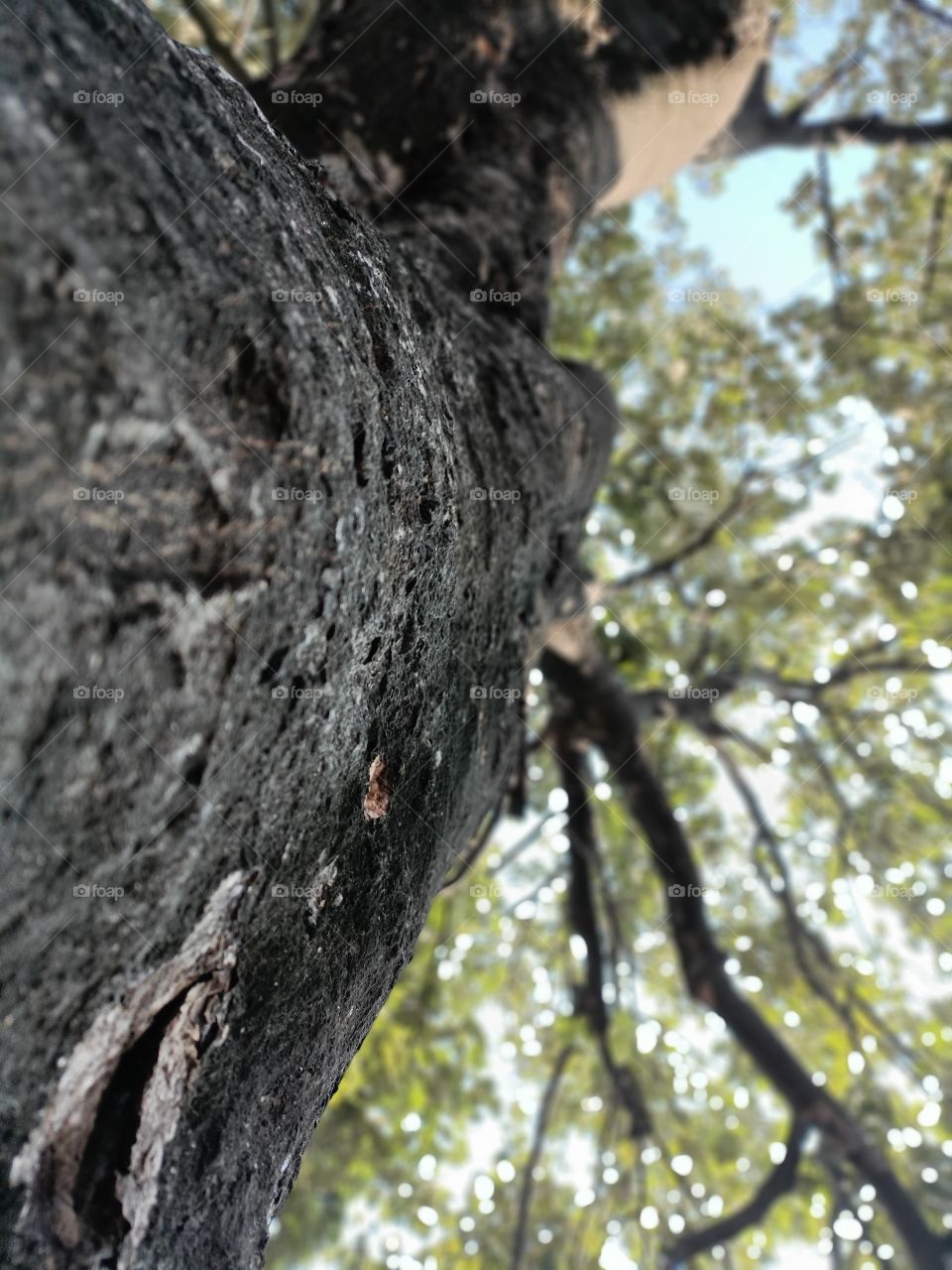 editors' choice: photo of the week