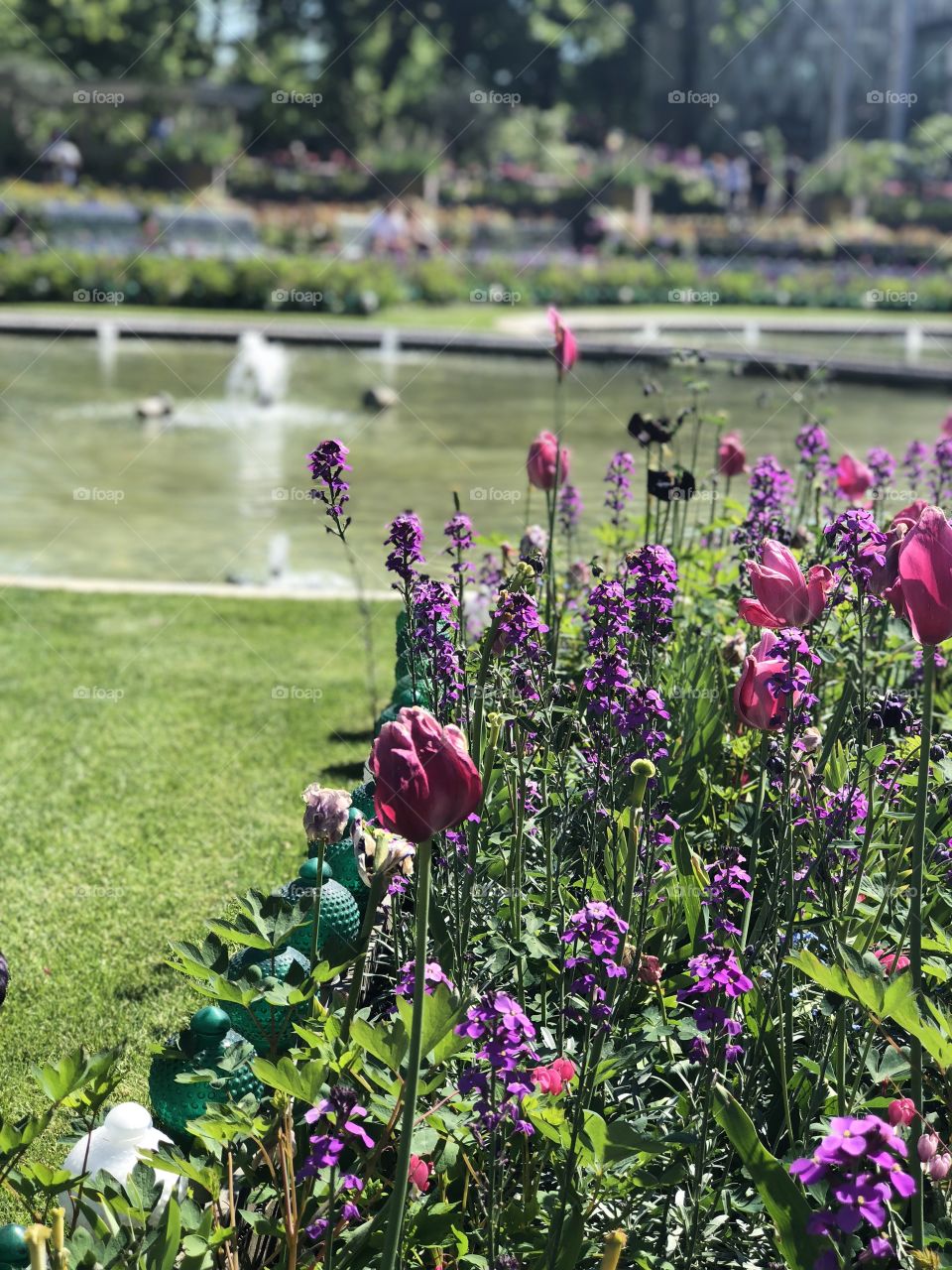 Garden with pink,lilac and purple flowers,with a Lake in the background