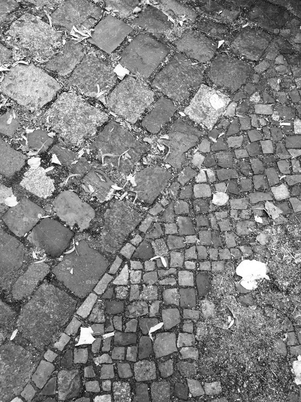 Pavement. An old and new pavement in Berlin
