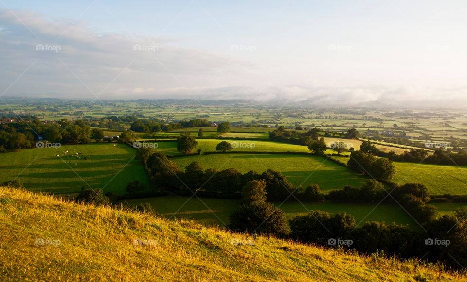 Scenic view of fields