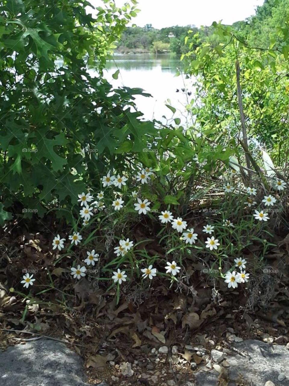 Beautiful Lake