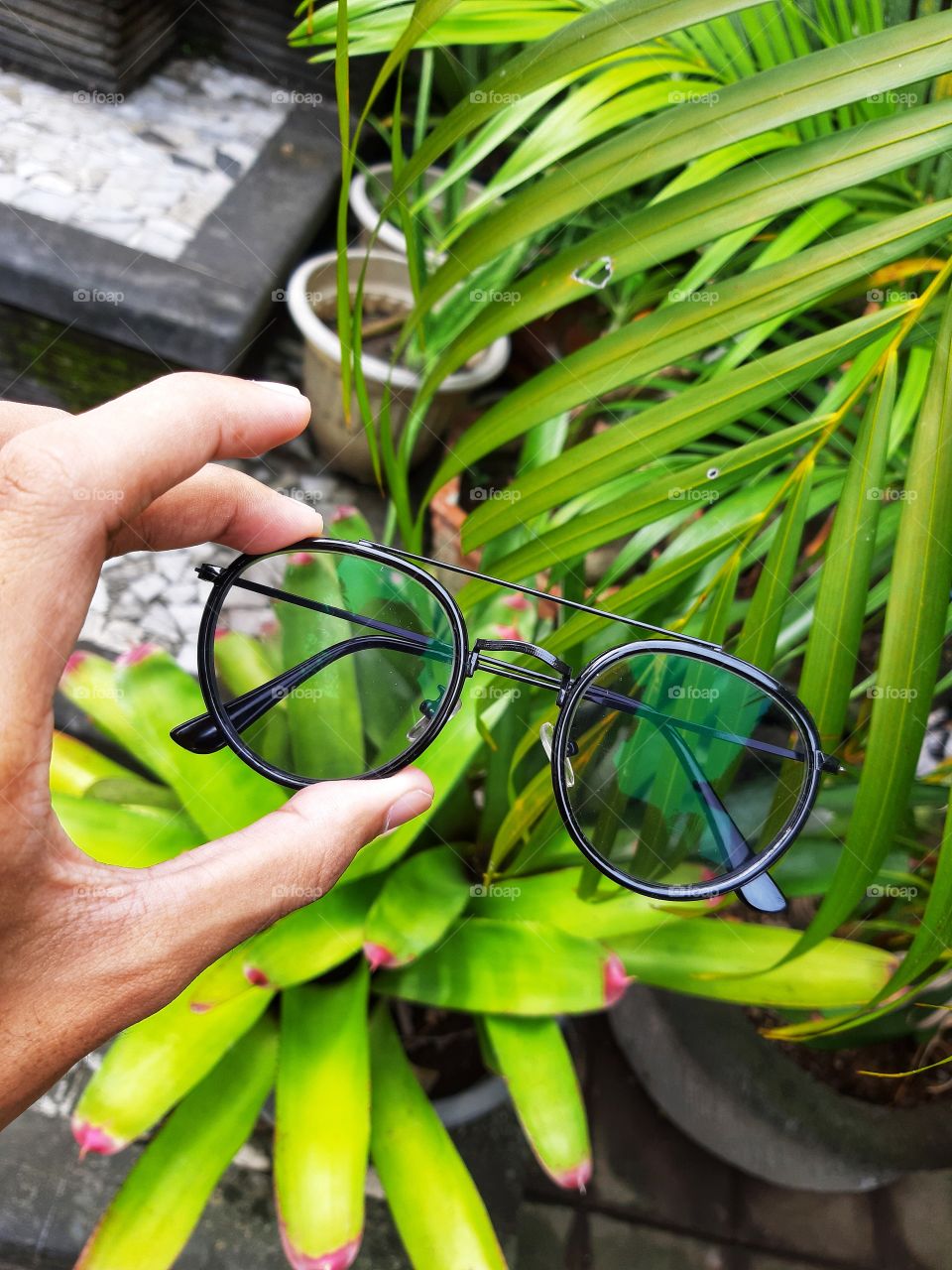 The glasses is hold by a hand in front of the plants