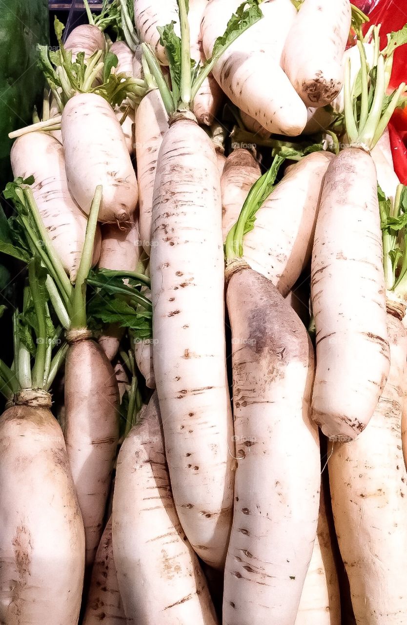Chinese Radish in the market.