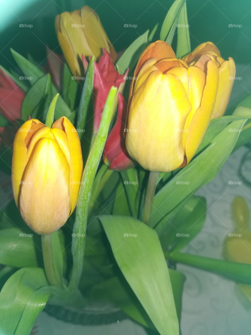 Tulips