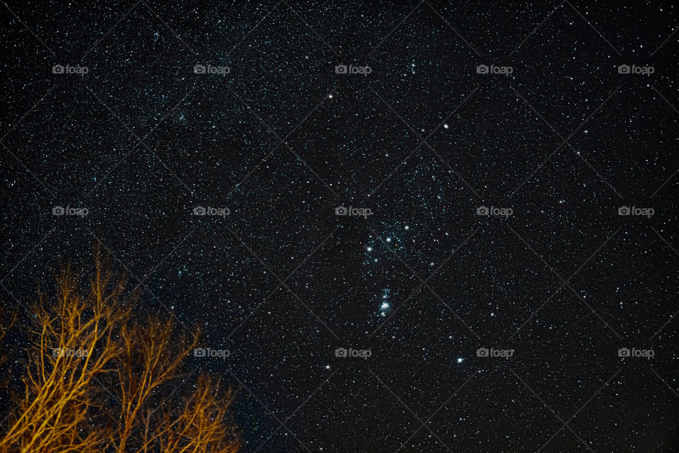 starry sky in west Serbia