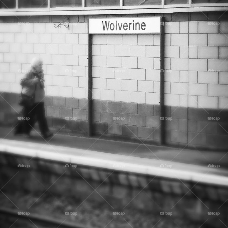 Wolverine Station