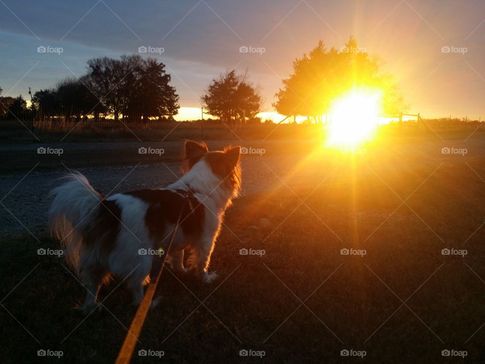 Watching the Sunset on Our Walk