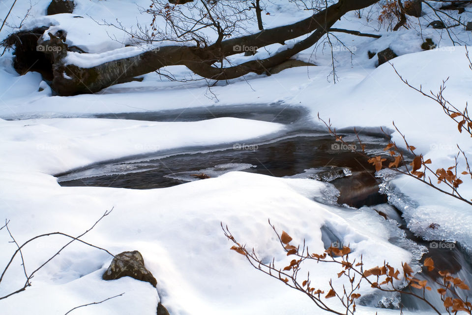 Winter scenery