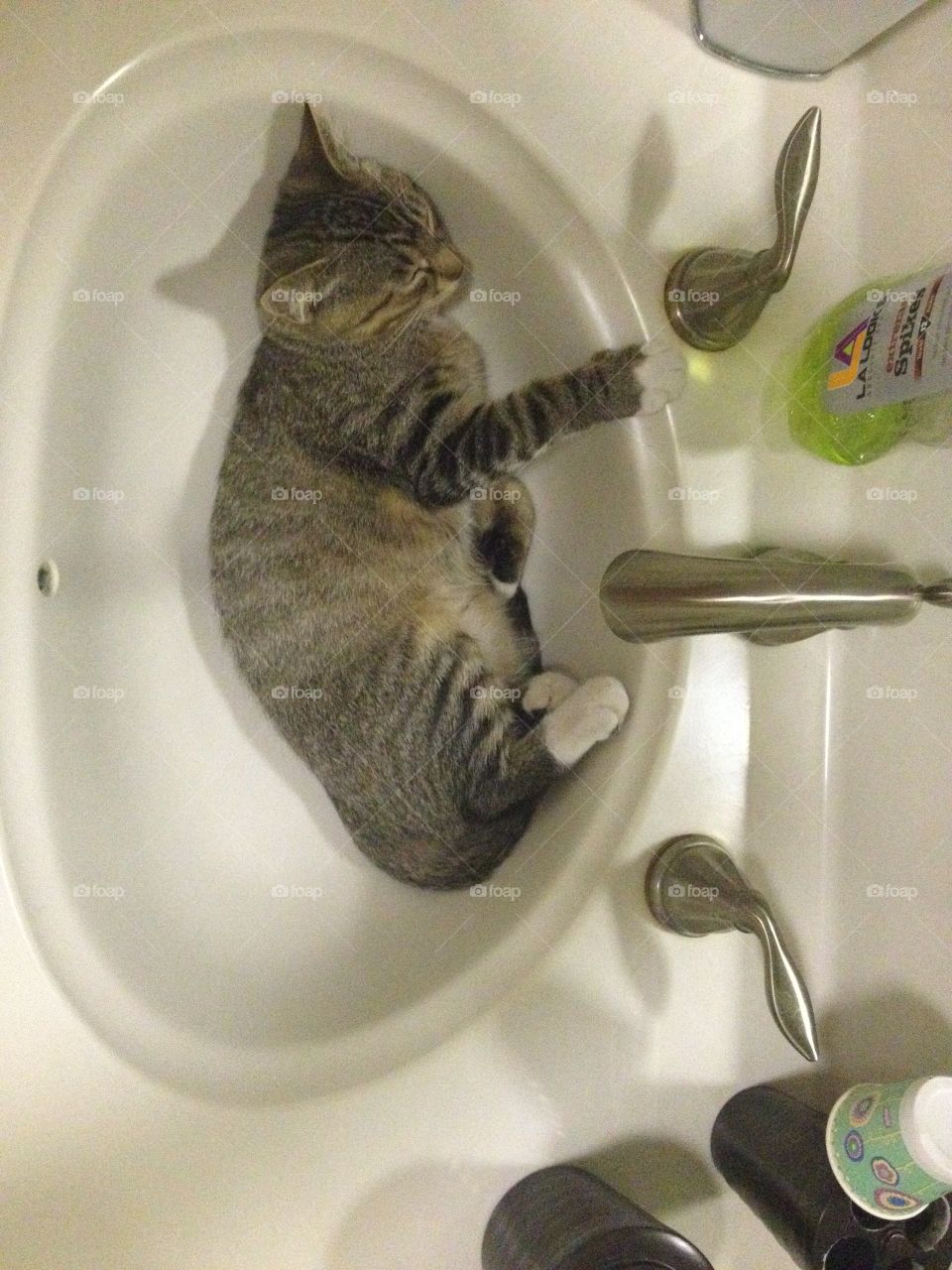 My cat loves to sleep in the sink
