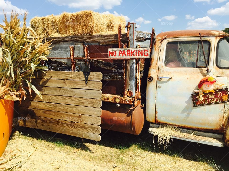 Vintage truck at the pumpkin patch 