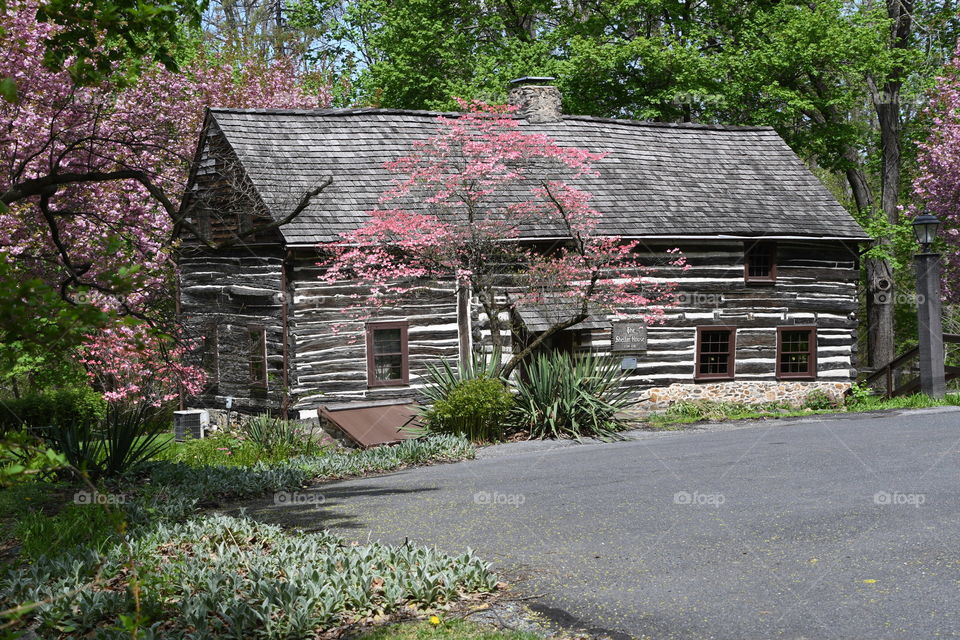 shelter house Emmaus PA close-up springtime