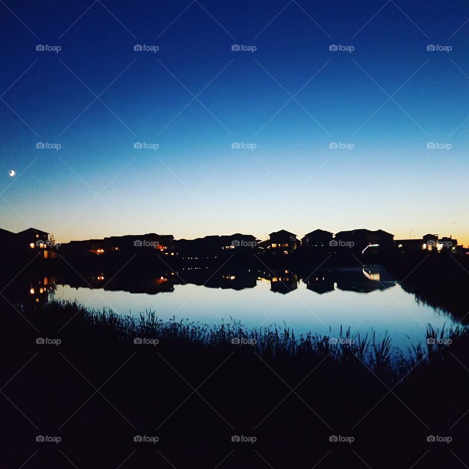 Beautiful walk in my backyard!