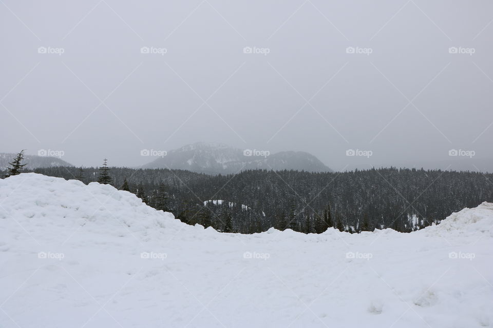 Snow hill , forest and mountain on a distance..  Enchanting wintertime scenery,monochromatic 