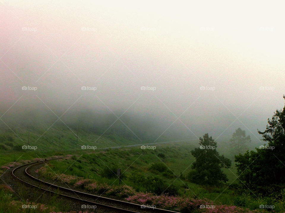 Misty morning tracks
