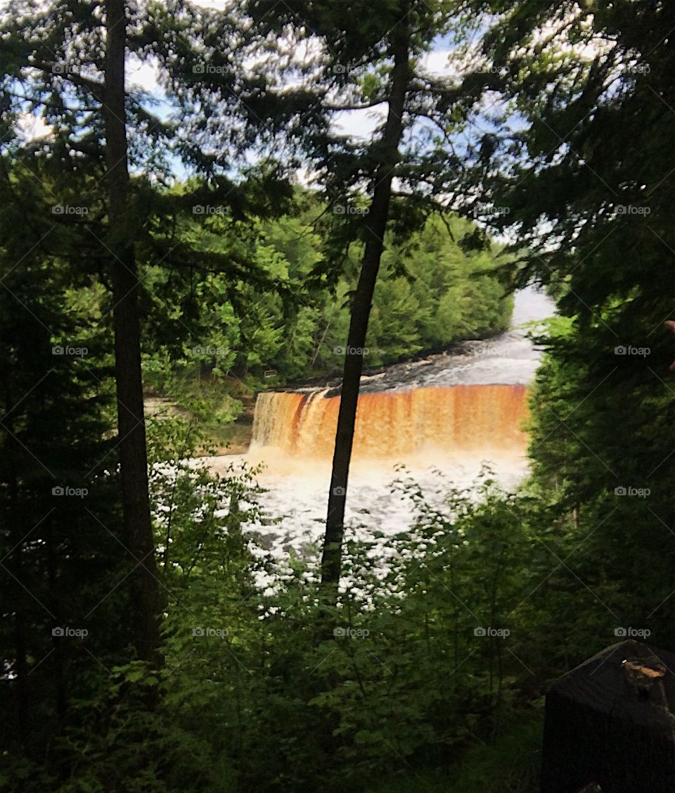 Tahquamenon falls - Michigan’s upper peninsula 