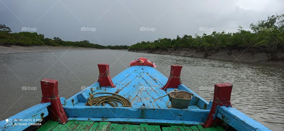 Moving towards Sundarbans
