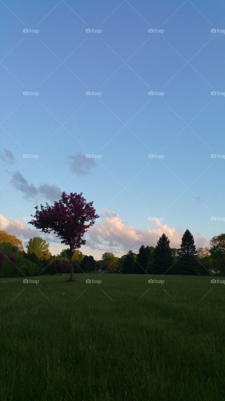 night sky during a walk