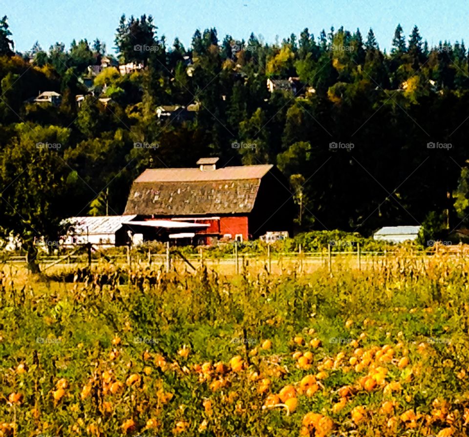 No Person, Agriculture, House, Farm, Outdoors