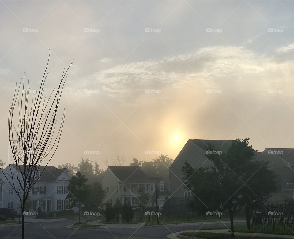 Suburban Sunrise