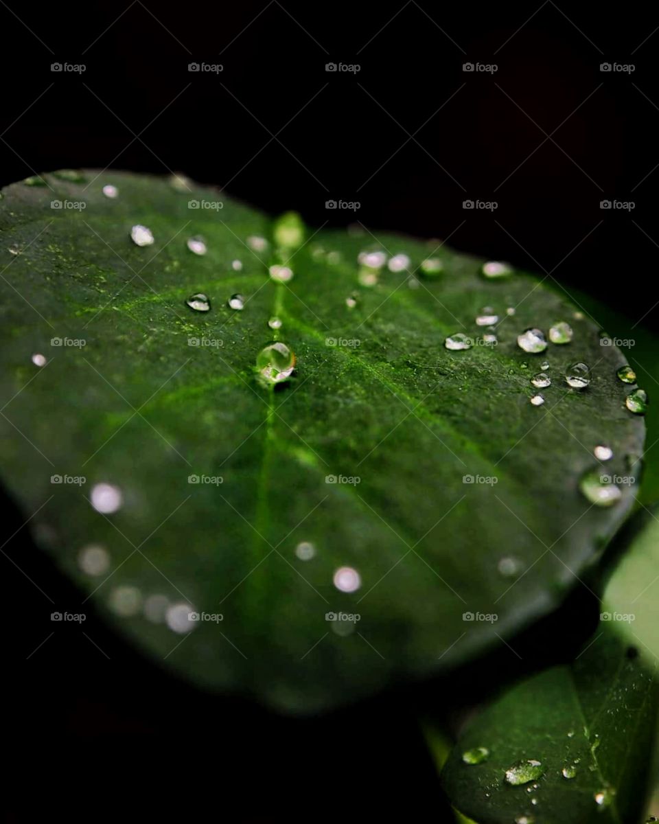 Peace is the result of retraining your mind to process life as it is, rather than as you think it should be.