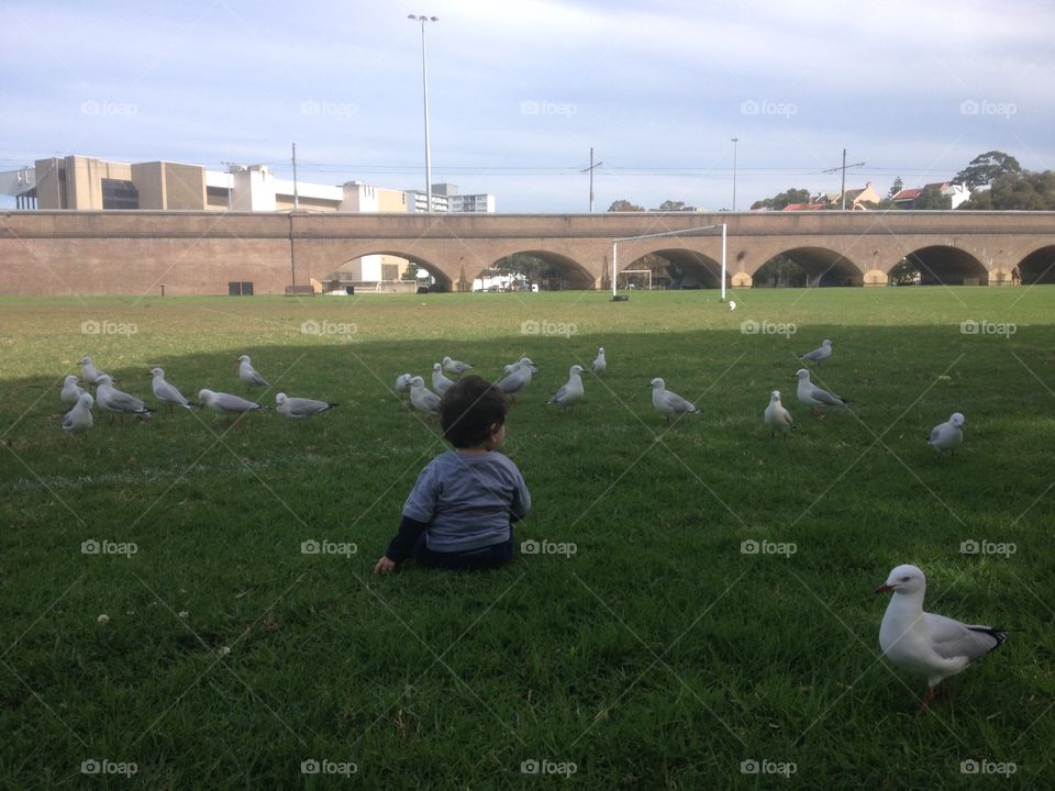 Son in the park. My son sitting in the park enjoying the sun and sitting and feeding seagulls 