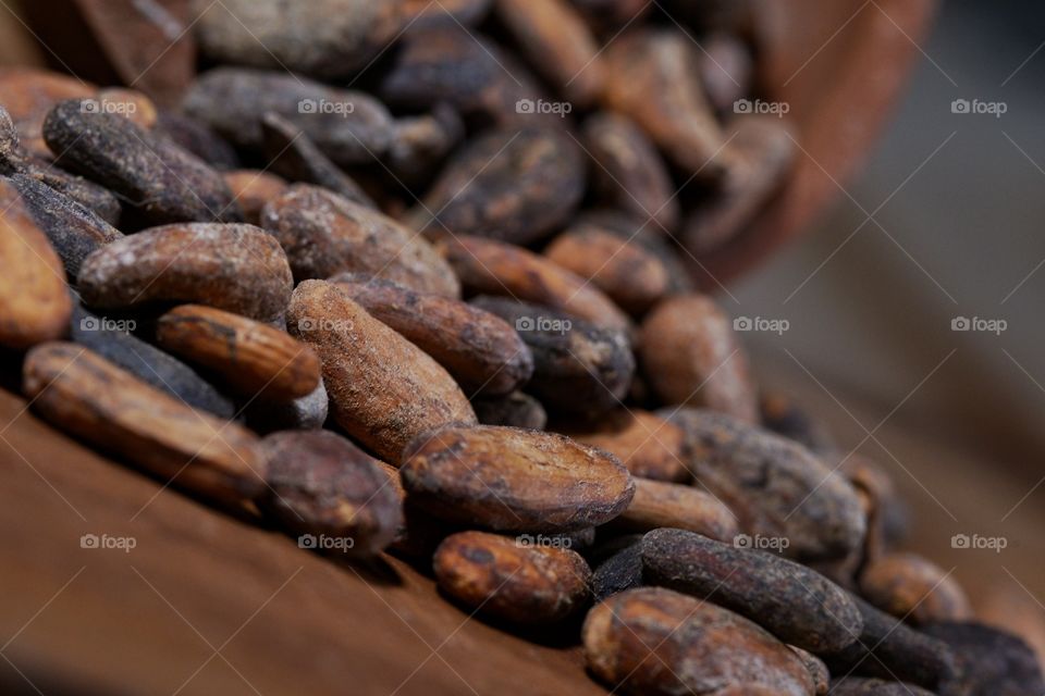 Cacao seeds