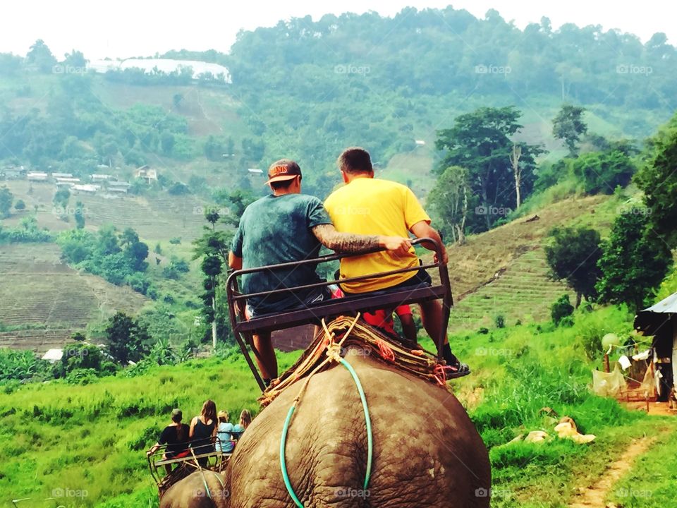 Man in a yellow shirt rides an elephant in Thailand