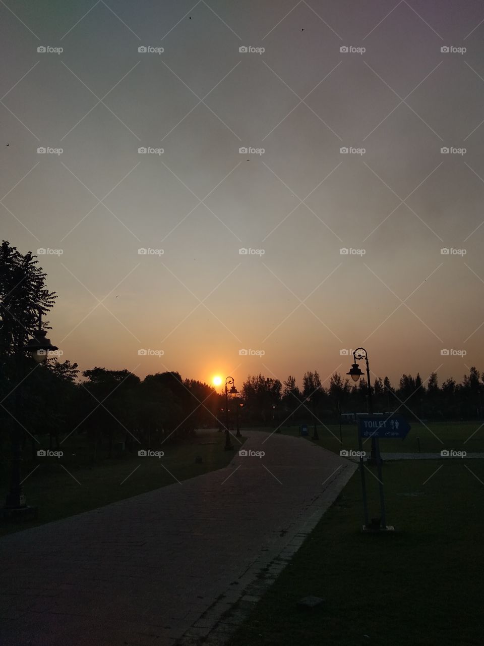 beautiful sunset color