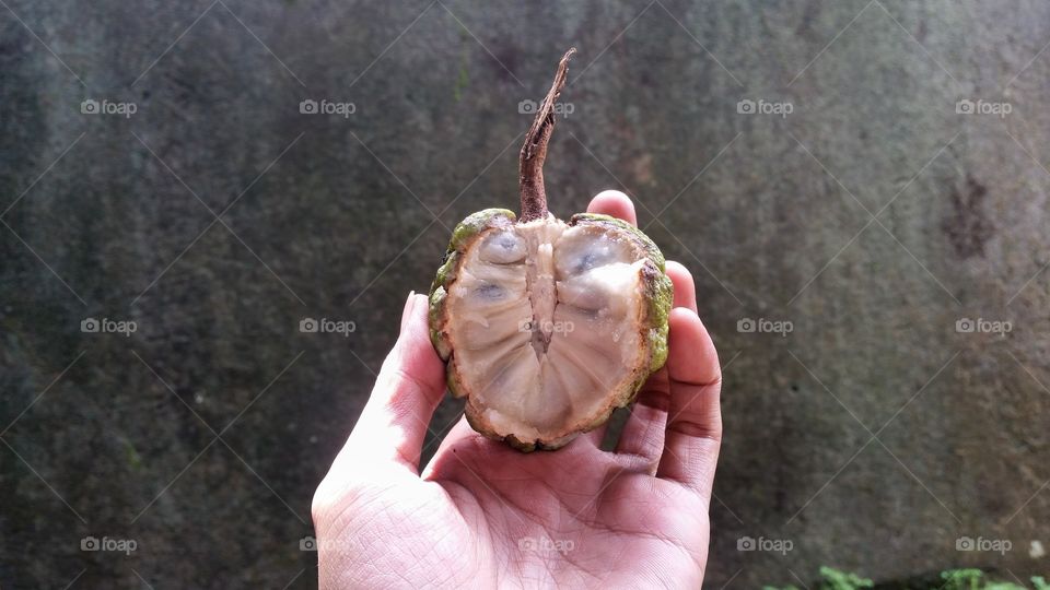 srikaya (indonesian fruit) annona