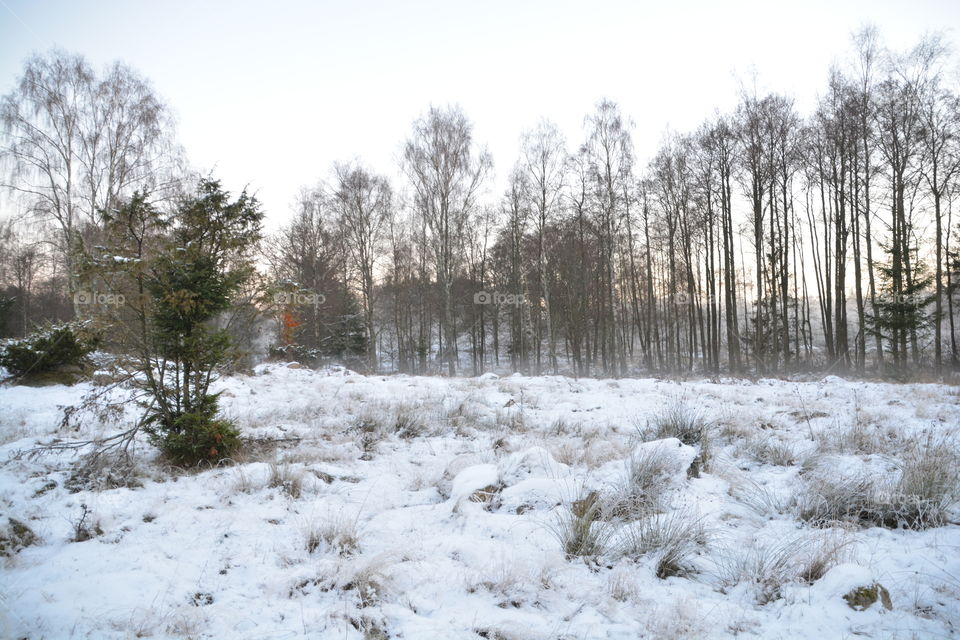 Winter in Skane, Sweden