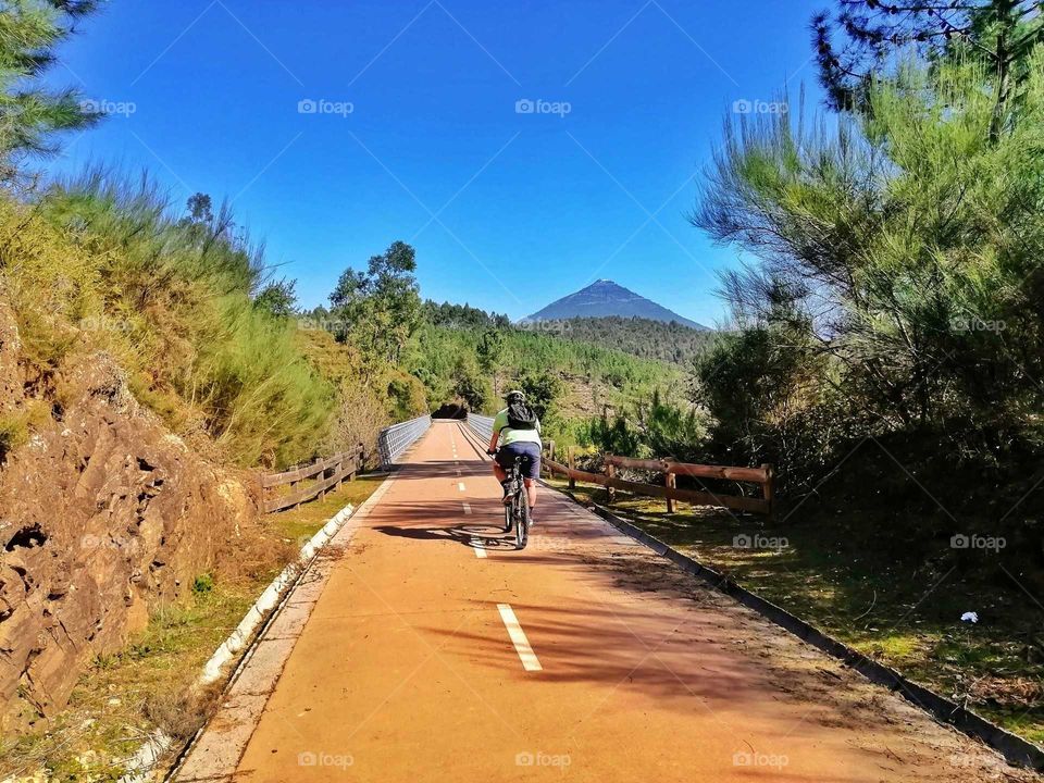 Staying in good shape