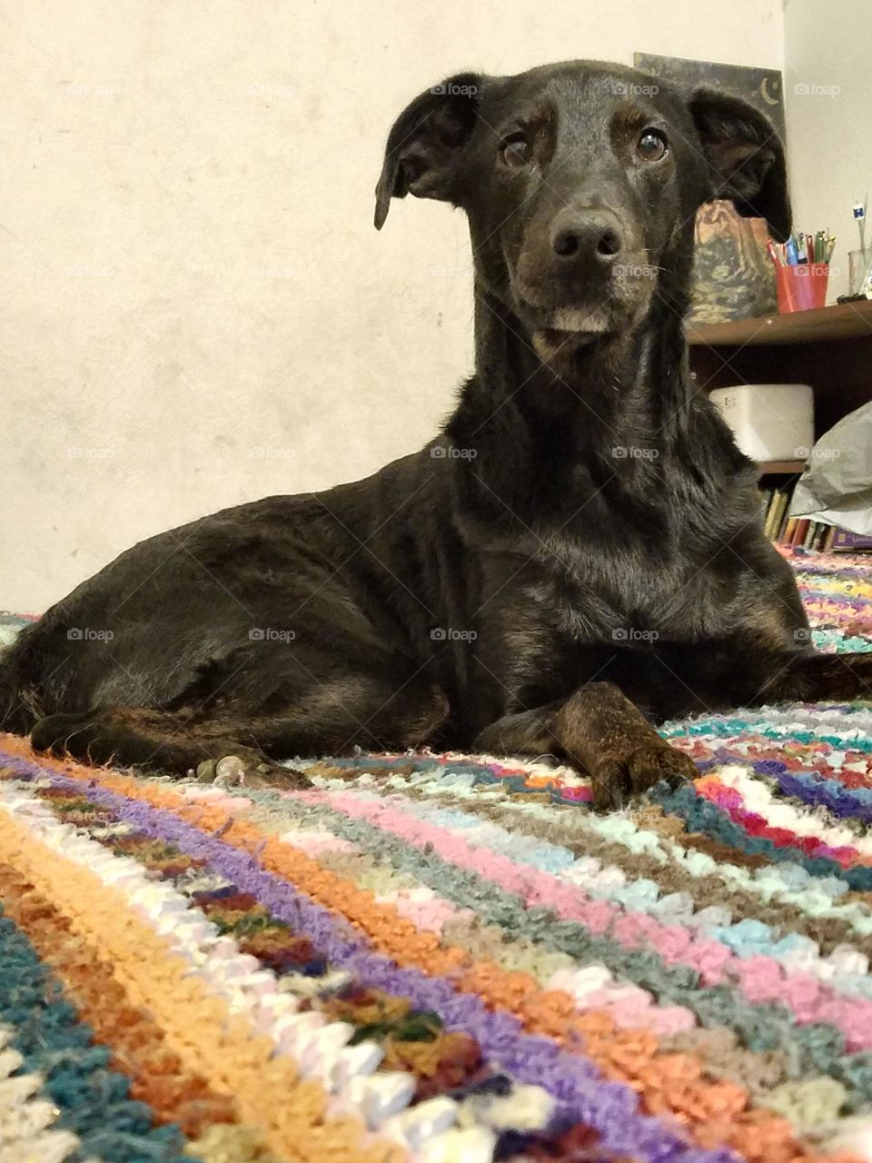 are you talking to me?