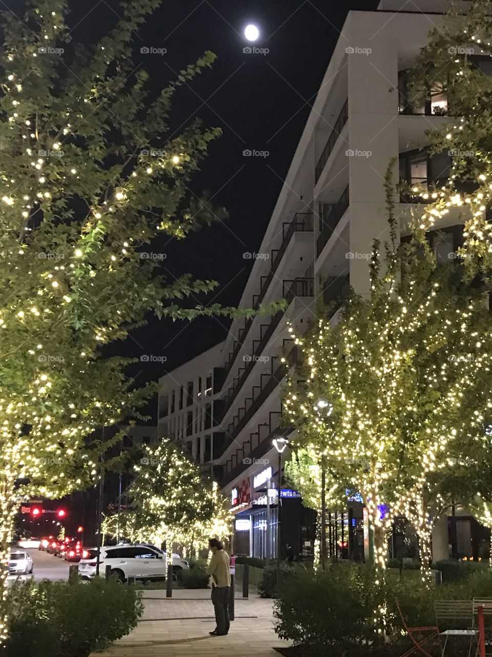 City, Tree, Building, Road, Light