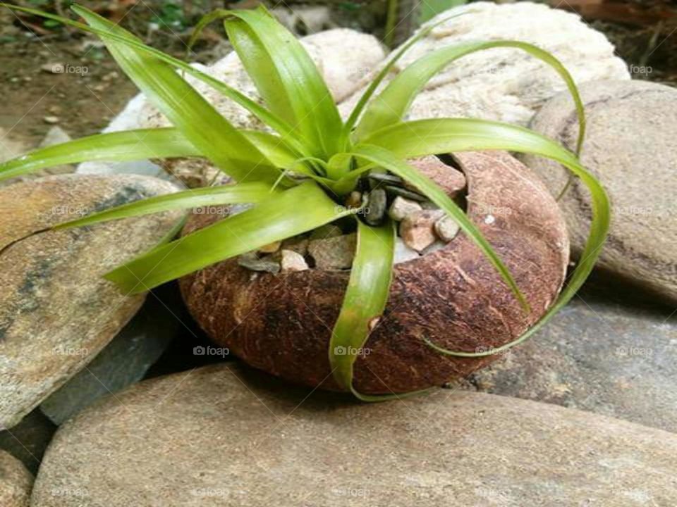 Airplane arrangement