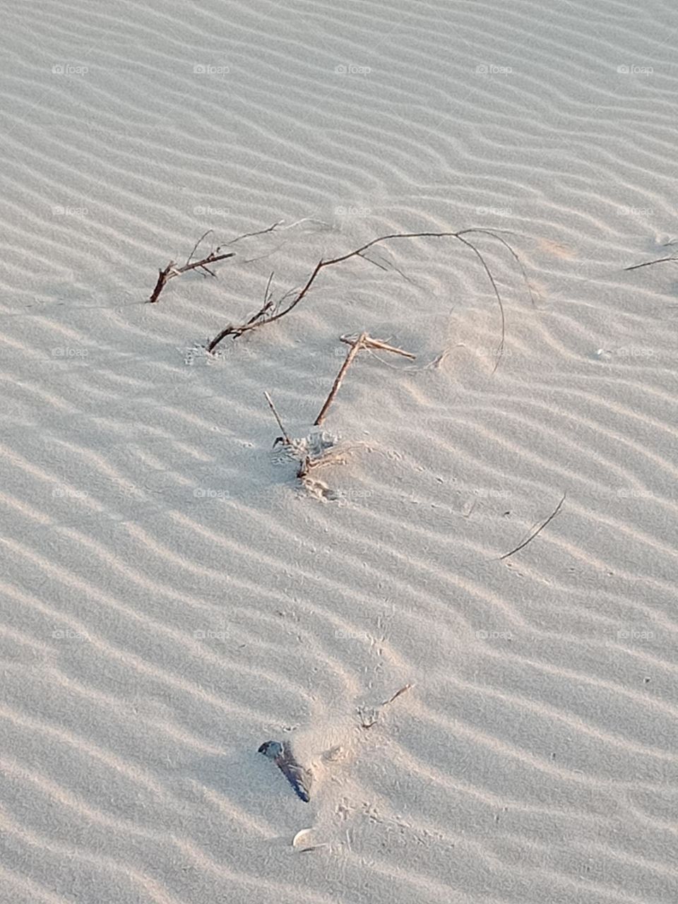 White sand beach