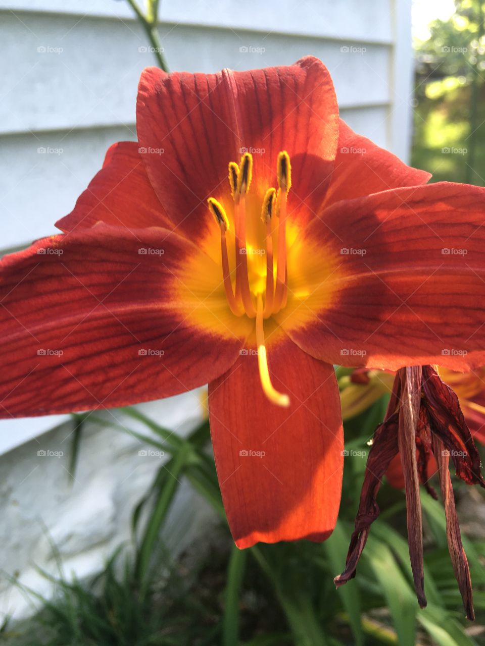 How can there be so much hate in the world when there’s so much beauty? Make today count.