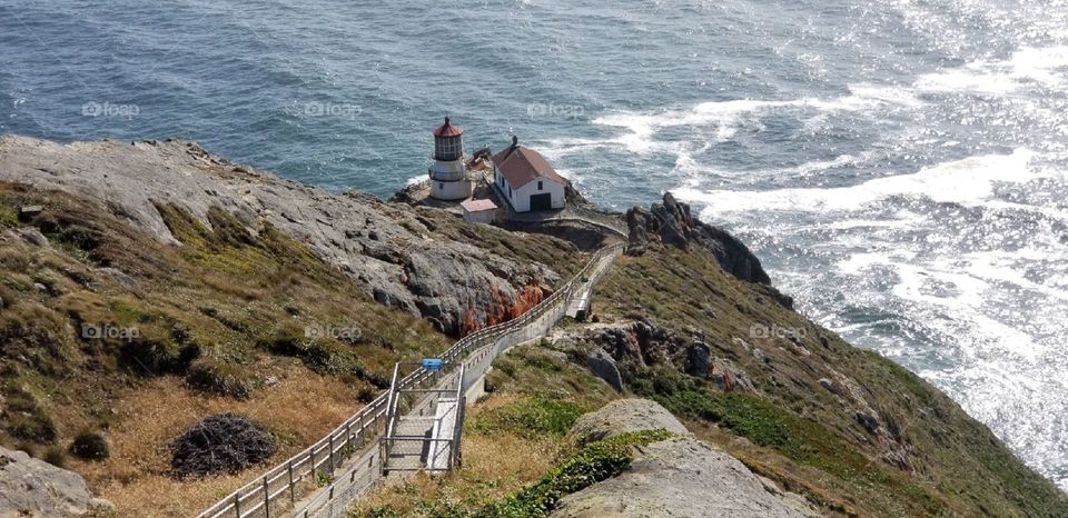 Lighthouse Beauty
Lighthouse Beauty