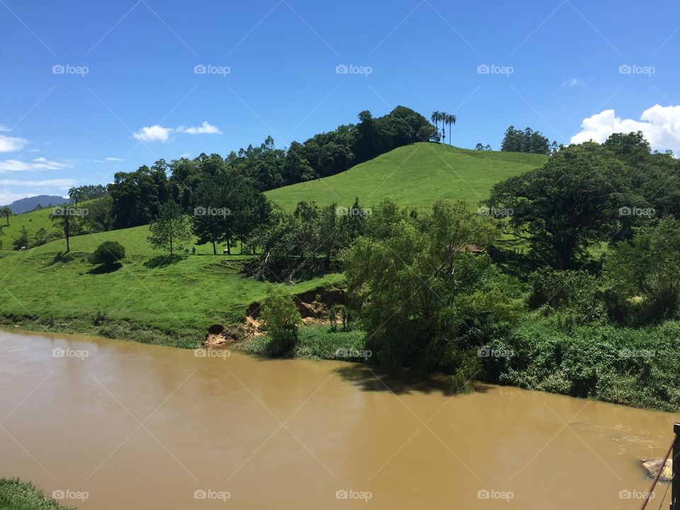 Landscape, Water, River, Tree, Lake