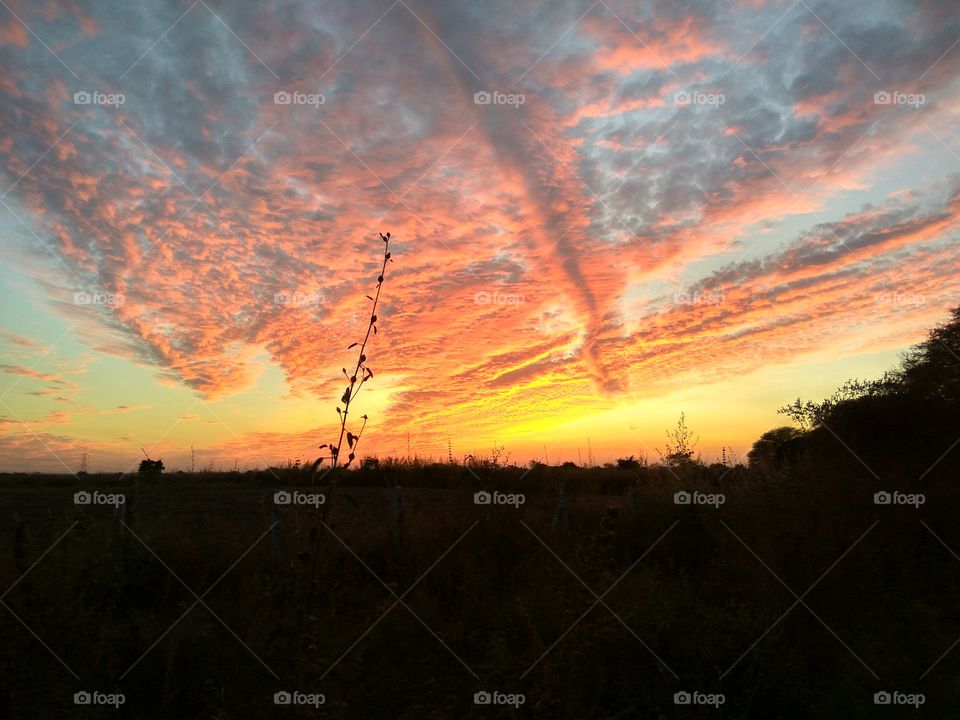 Sunset Lightning Cloude