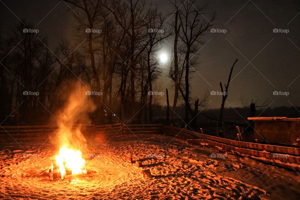 Bonfire in the snow at night with silhouette of trees from the moon
