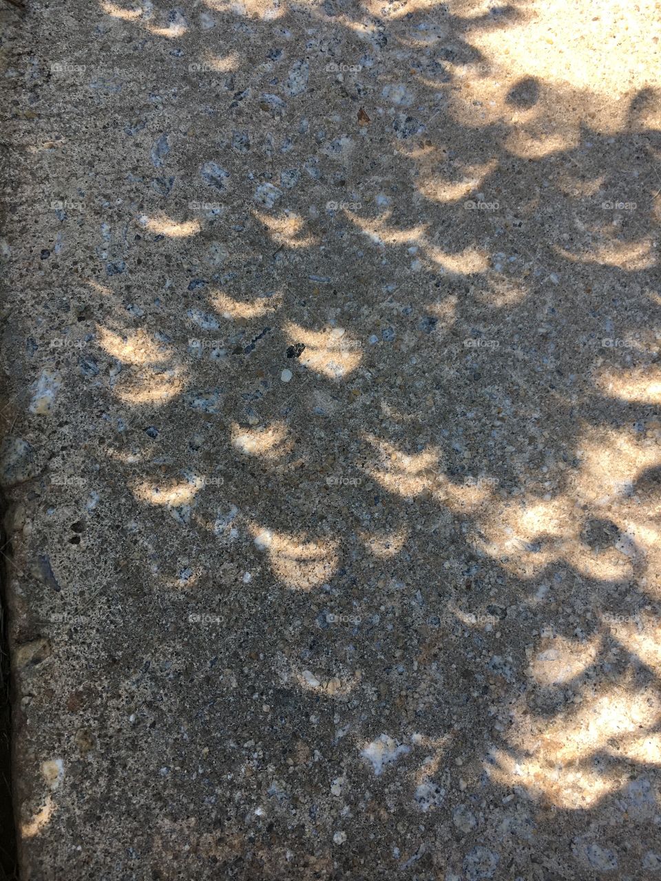 The solar eclipse playing with shadows.