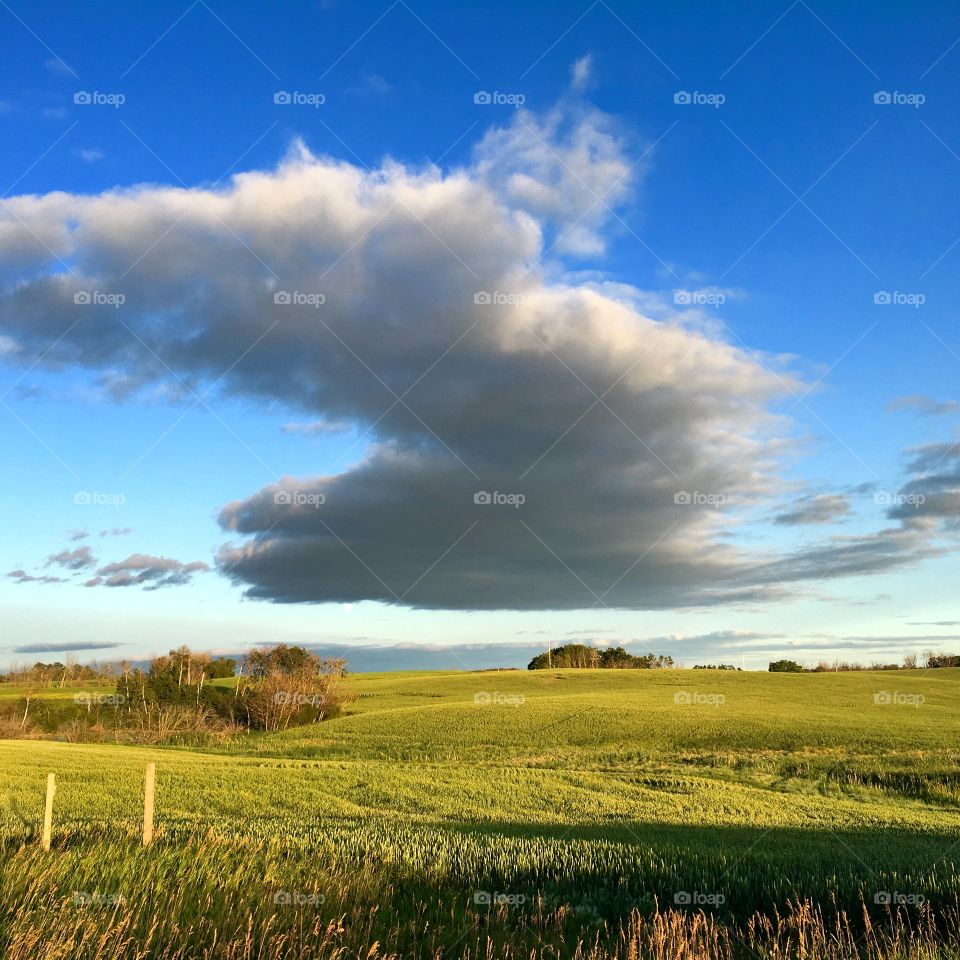 Prairie sky