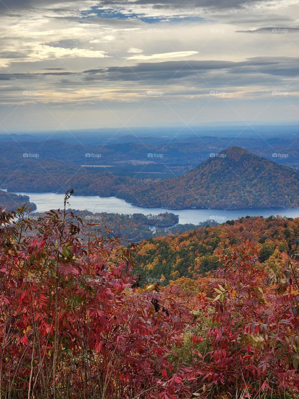 Fall in Tennessee